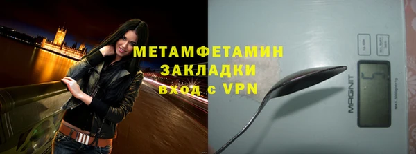 твердый Гатчина