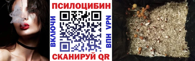 где купить   Закаменск  Галлюциногенные грибы GOLDEN TEACHER 