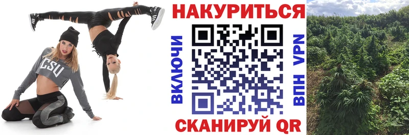 сайты даркнета как зайти  сколько стоит  Закаменск  Канабис гибрид 